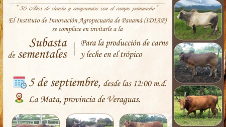 Subasta de sementales para la producción de carne y leche