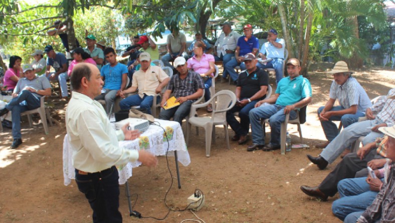 Productores de San Lorenzo se capacitan en el establecimiento y manejo de pasturas