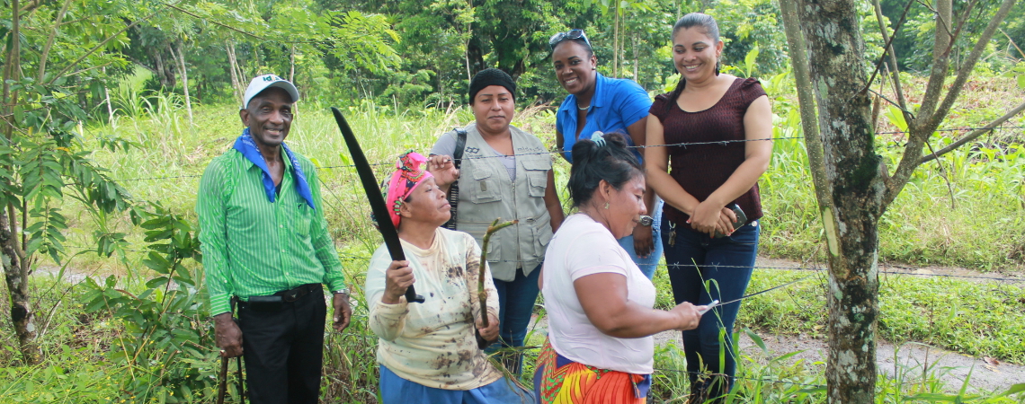 Comunidades del área de Colón reciben capacitación del IDIAP