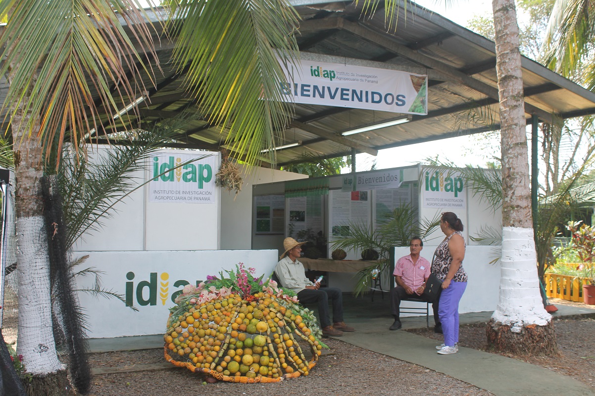 IDIAP presenta ciencia y tecnología en la feria de La Candelaria