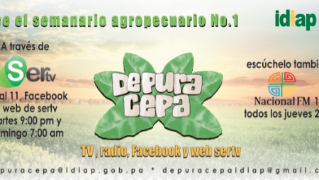 Programa televisivo y radial de IDIAP