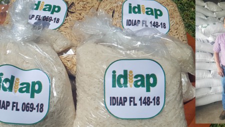 Resaltan la importancia del uso de semillas certificadas
