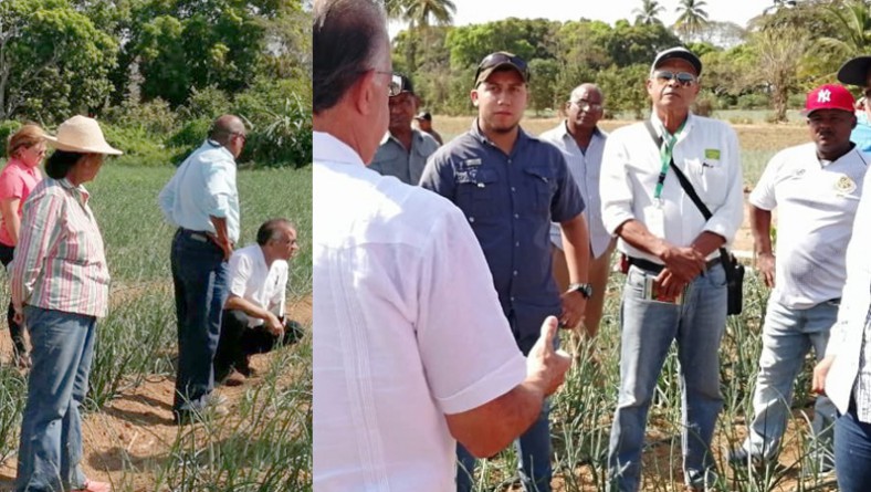 Ministro Valderrama y directivos conocen tecnologías de riego aplicadas en sembradíos de cebolla