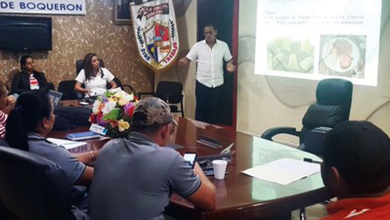 IDIAP presenta proyecto para evitar enfermedades en el guandú