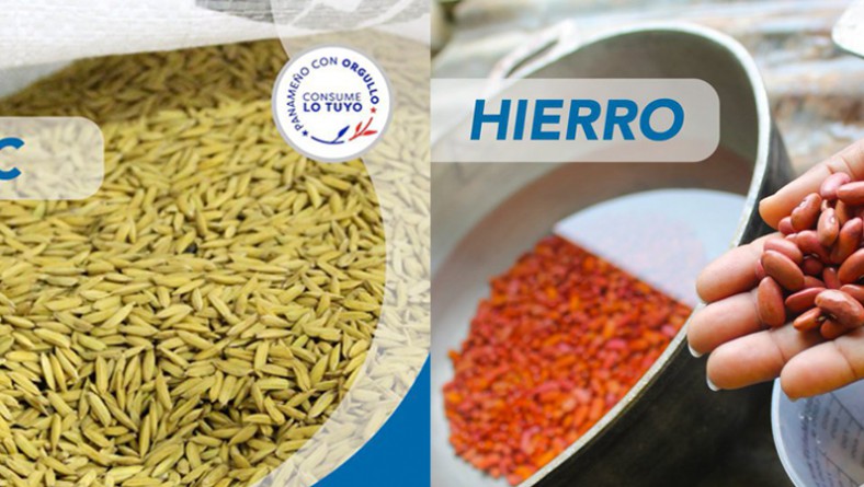 ZINC y HIERRO, fundamentales para aumentar las defensas en el organismo
