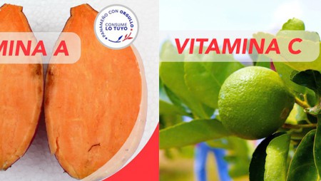 Vitamina A y vitamina C protegen al cuerpo de enfermedades