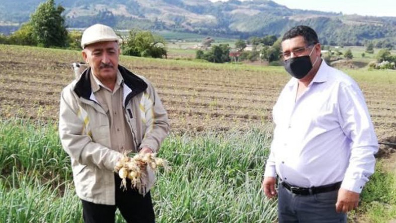 Nuevas tecnologías para la producción de cebolla en Chiriquí