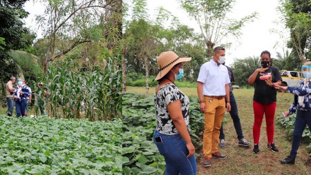 IDIAP e IPHE adelantan proyectos que beneficiarán a los niños