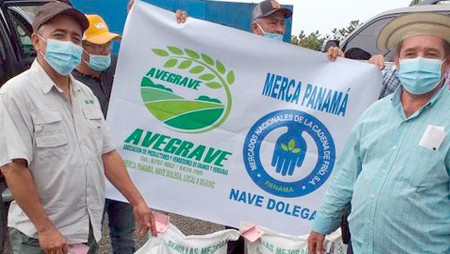 Merca Panamá garantiza compra de poroto de IDIAP a productores de la comarca Ngäbe Buglé