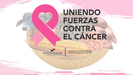 IDIAP apoya la cinta rosada