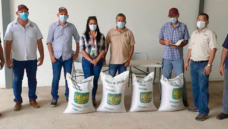 Semillas para productores de Herrera