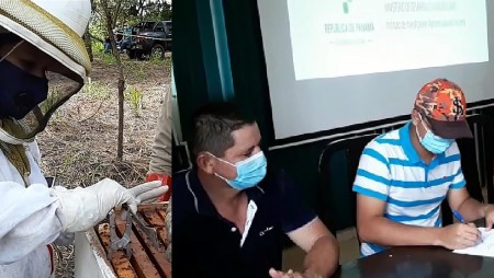 IDIAP firma convenio sobre abejas africanizadas con pequeños productores