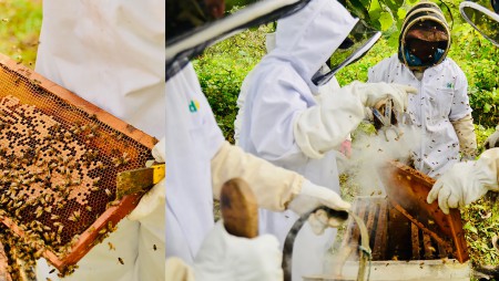 Donan colmenas para investigación agropecuaria