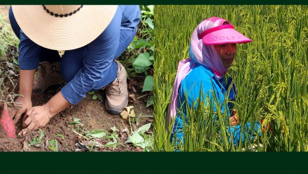 Felicidades a las damas productoras e investigadoras agropecuarias
