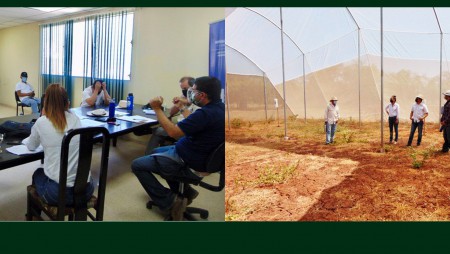 Avanza el proyecto Horticultura en Ambiente Protegido