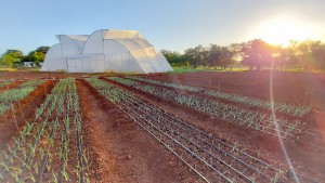 Remini20210921123812757