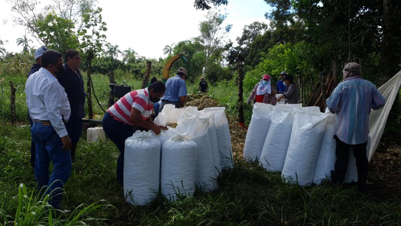 PEQUEÑOS PRODUCTORES SE PREPARAN PARA LA ESTACIÓN SECA