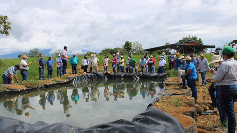 ALTERNATIVAS TECNOLÓGICAS PARA LA COSECHA DE AGUA.