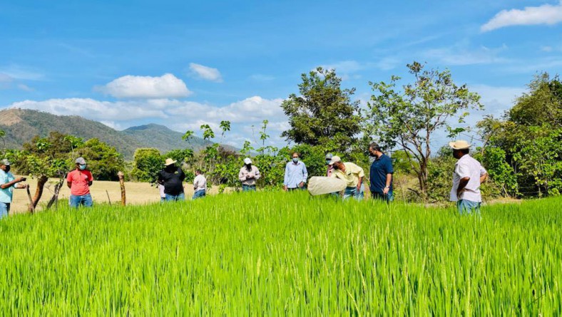 DEMOSTRACIÓN DE MÉTODO PARA LA PREPARACIÓN DE INSECTICIDAS ECOLÓGICOS