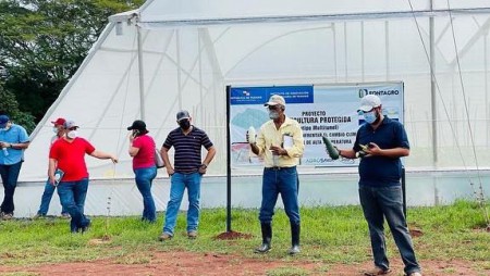 AVANCES EN LA PRODUCCIÓN DE HORTALIZAS EN EL ARCO SECO