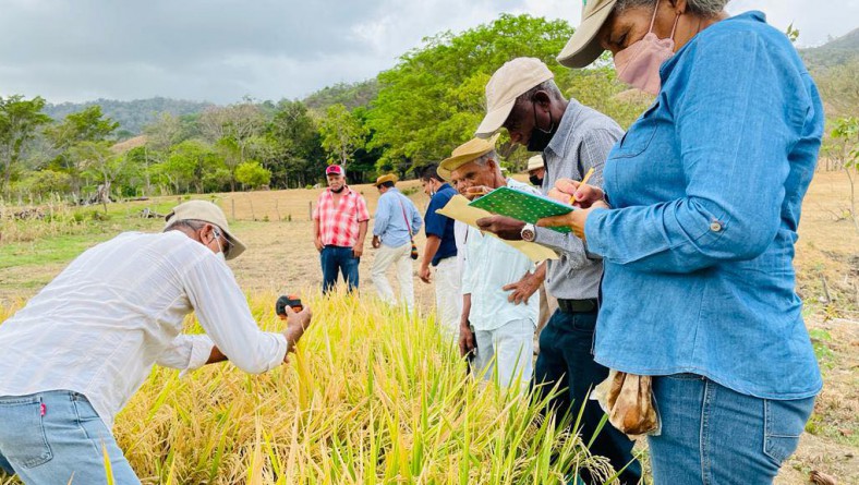 DÍA DE CAMPO JUNTO A PRODUCTORES Y TÉCNICOS