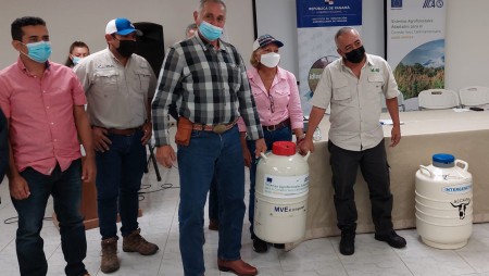 ENTREGA DE GENÉTICA BOVINA A PRODUCTORES