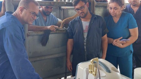 TALLER DE BIOTECNOLOGÍAS REPRODUCTIVAS BOVINAS