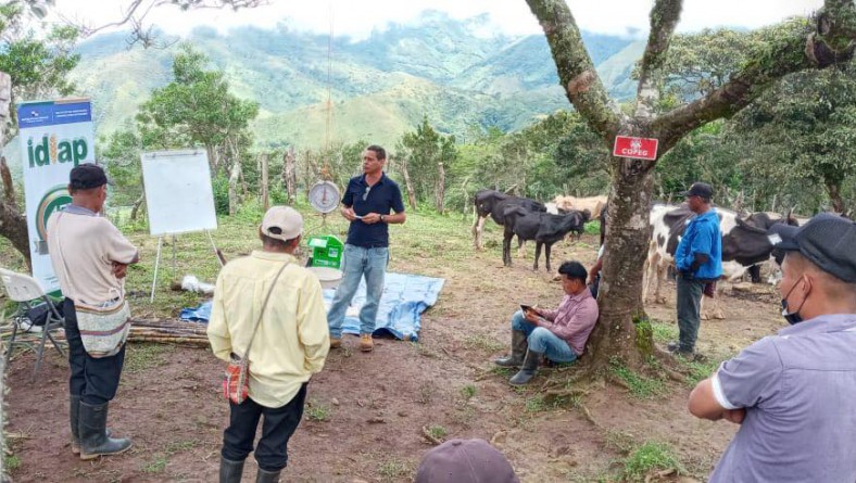 DÍA DE CAMPO CON CRIADORES DE GANADO CRIOLLO EN LA COMARCA NGÄBE BUGLÉ