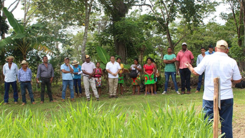 DÍA DE CAMPO EN SANTA FÉ DARIÉN