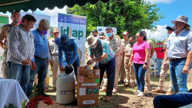 AGROINNOVA ENTREGA PAJUELAS DE SEMEN BOCINO AL IPT DE SAN ANDRÉS