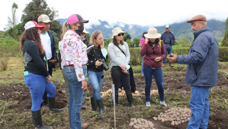 REUNIÓN / TALLER DEL PROYECTO ALERTA TEMPRANA DEL TIZÓN TARDÍO