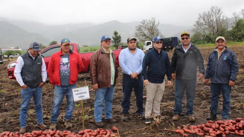 DÍA DE CAMPO «KARU Y PATAGONIA INIA CULTIVARES DE PAPA DEL IDIAP»