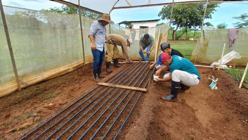 SEGUIMIENTO DEL PROCESO DE PRODUCCIÓN DE VARIEDADES PROMISORIAS DE CEBOLLA EN EL ARCO SECO