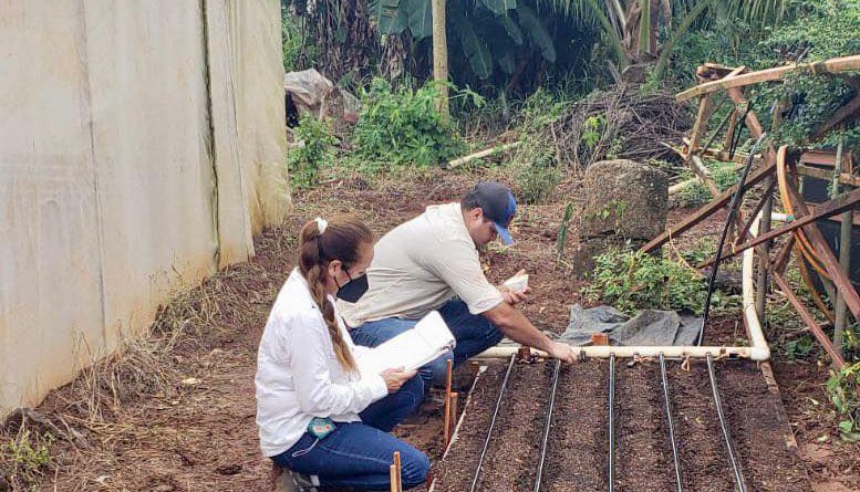 ENSAYO DEL PROYECTO DE HORTALIZAS EN EL ARCO SECO