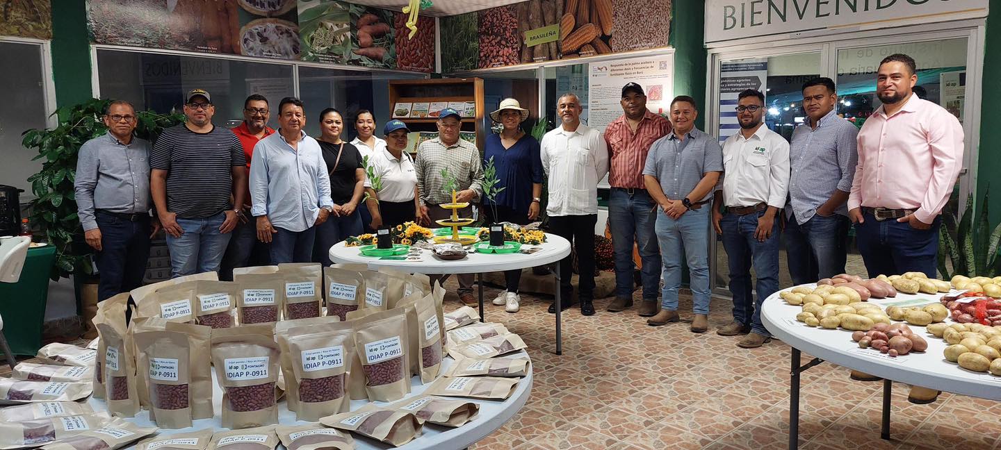 FERIA-DAVID_00