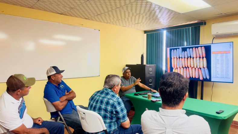 EN EL CIA DE AZUERO:  REUNIÓN CON PRODUCTORES DE MÁIZ