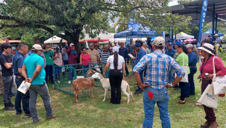 TODOS CONTRA EL GUSANO BARRENADOR DEL GANADO
