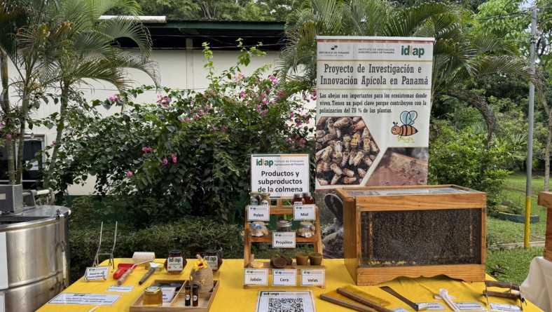TECNOLOGÍA Y SOSTENIBILIDAD MARCAN EL DÍA DE LAS ABEJAS EN IDIAP