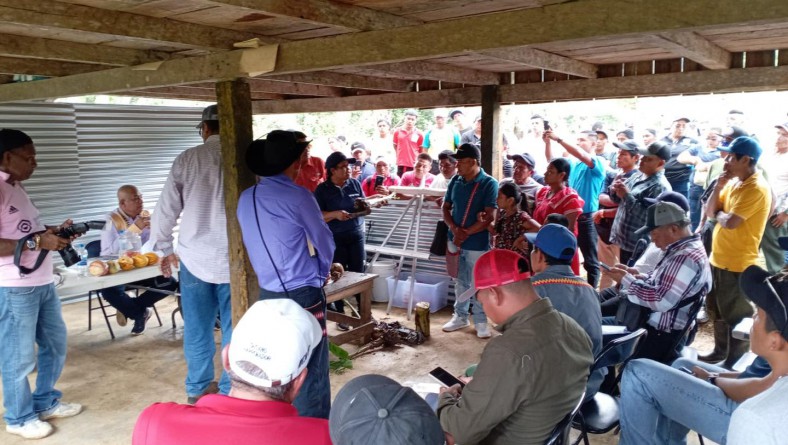 INNOVACIÓN AGRÍCOLA EN LA COMARCA