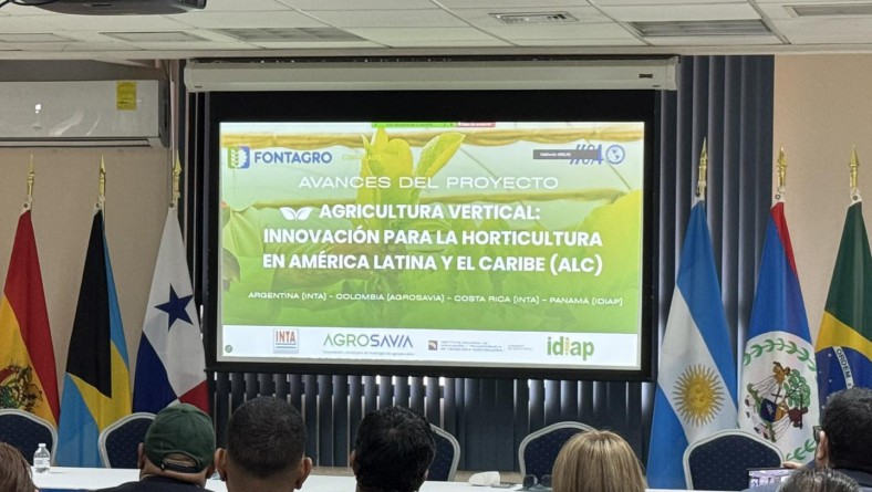 PANAMÁ LIDERA INNOVADOR PROYECTO REGIONAL DE AGRICULTURA VERTICAL