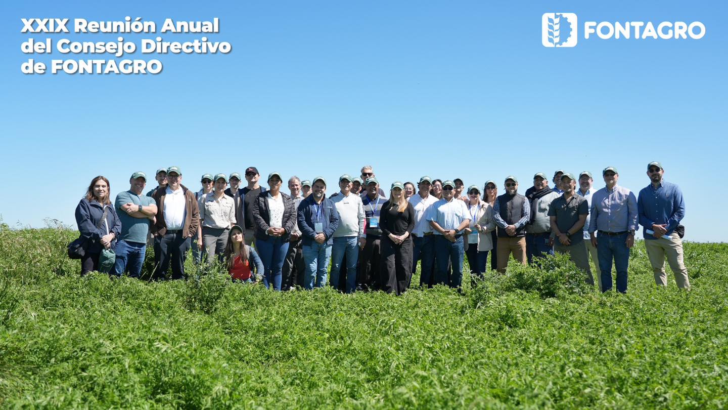 565879017_1589416592030843_6020254534529865743_n