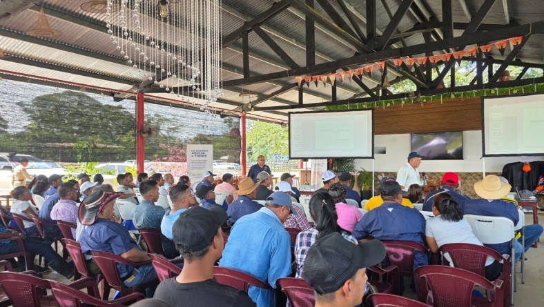 COPEG E IDIAP EN COLABORACIÓN CAPACITANDO A LOS GANADEROS DEL PAÍS