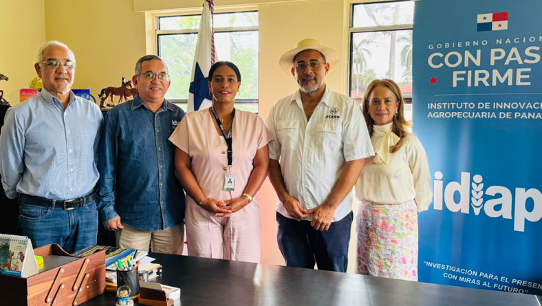 MEJORARÁN PRODUCCIÓN DE CAFÉ ROBUSTA EN PANAMÁ OESTE