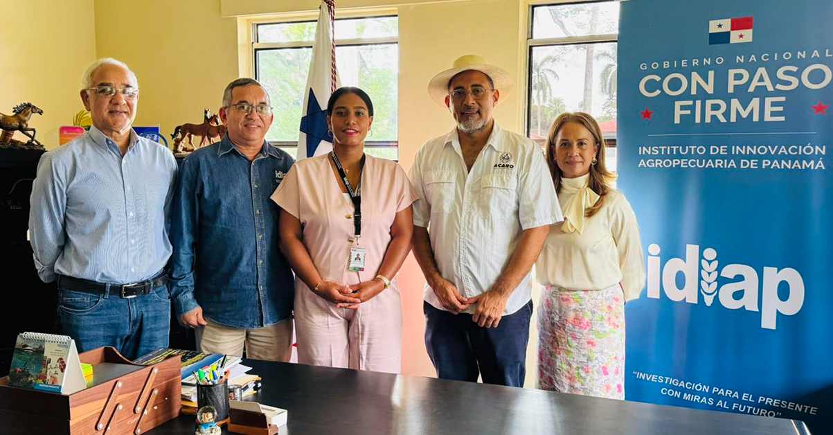 PLANTILLA-PARA-IMAGEN-DESTACADA_02