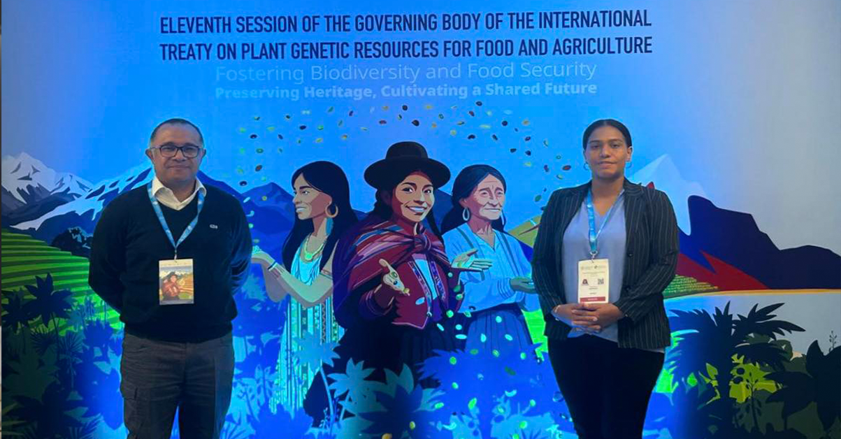 PLANTILLA-PARA-IMAGEN-DESTACADA_04