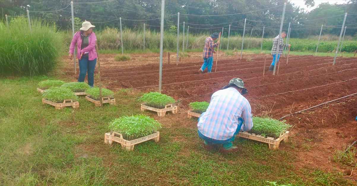 PLANTILLA-PARA-IMAGEN-DESTACADA_18_01