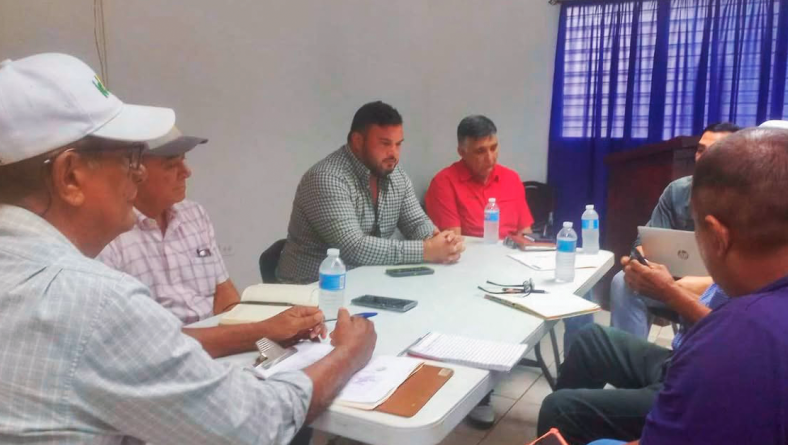 COORDINACIÓN TÉCNICA INTERINSTITUCIONAL IMPULSA LA INVESTIGACIÓN AGRONÓMICA DEL CULTIVO DE CEBOLLA