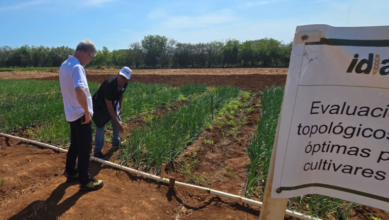 EL IDIAP RECIBE LA VISITA DEL DR. TANGUY LAFARGE, DIRECTOR REGIONAL DEL CIRAD (Centro de Cooperación Internacional en Investigación Agronómica para el Desarrollo, Francia)