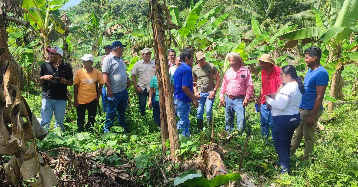 PLANTILLA-PARA-IMAGEN-DESTACADA_05