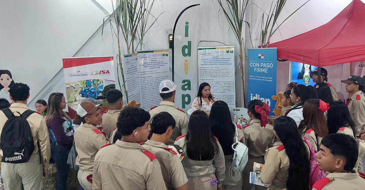 PLANTILLA-PARA-IMAGEN-DESTACADA_09